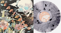 The Shins ‎- Heartworms Exclusive Limited Edition Clear Black Marble Vinyl LP